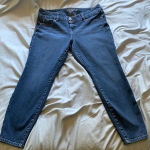 Torrid Premium Jeggings
